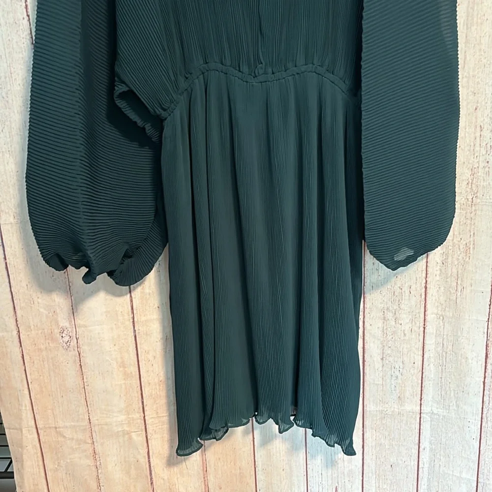 NWT Floret Studios Pleated Long Sleeve Mini Dress